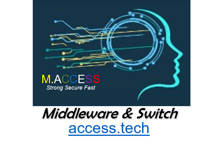 M.ACCESS API